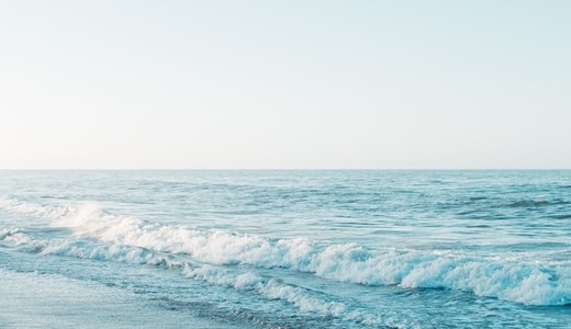 利用規約 / Terms of Service